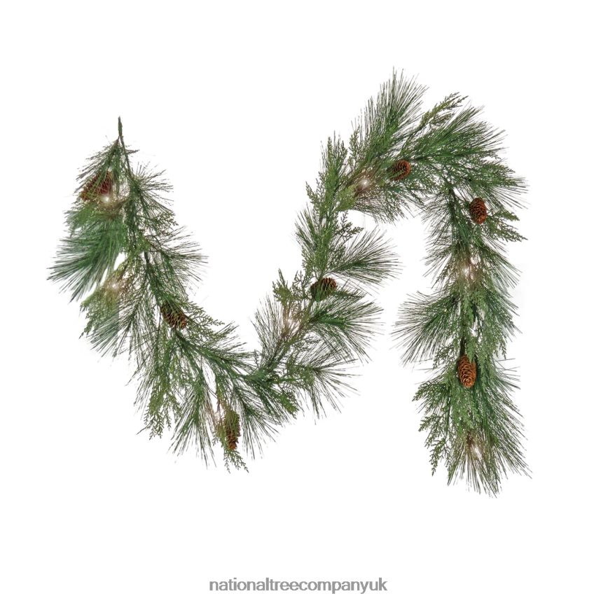 Greenery | National Tree Company 6 ft HGTV Home Collection Pre-Lit Black Tie Cedar Garland F2L4F345